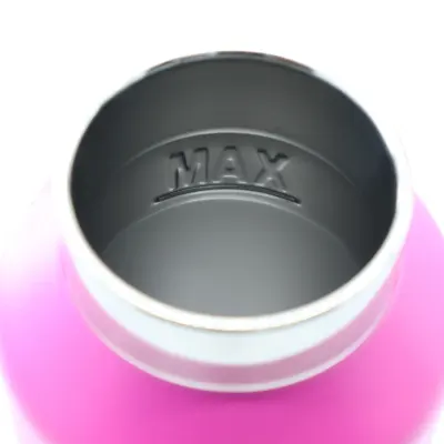 Revomax Vacuum Insulated Drinking Flask, 592ML / 20OZ, Revomax Pink