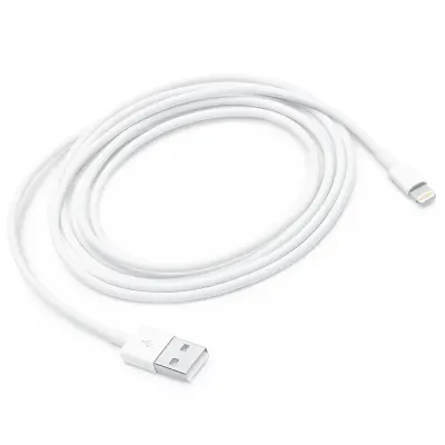 Apple Lightning to USB 2.0 Charging Cable 2 Meter - Apple A1510