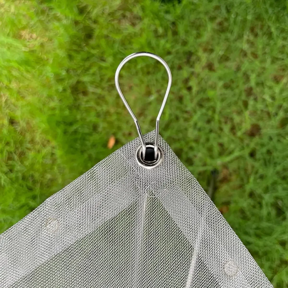 Zoomed