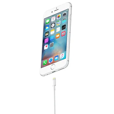 Apple Lightning to USB 2.0 Charging Cable 1 Meter - Apple A1480