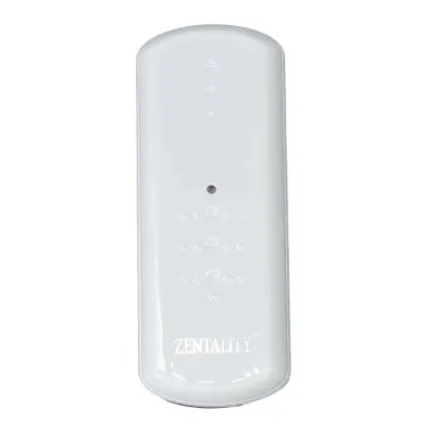 Zentality Zentality Z-001 Nano Handy Spa | Moisture Skin In 30S