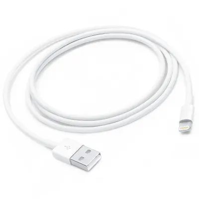 Apple Lightning to USB 2.0 Charging Cable 1 Meter - Apple A1480